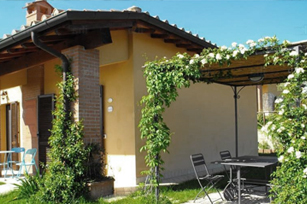 Derattizzazione Topi E Ratti Solai Cantine Spazi Pubblici Aziende